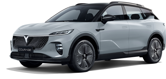 Voyahcourage.png Voyahcourage