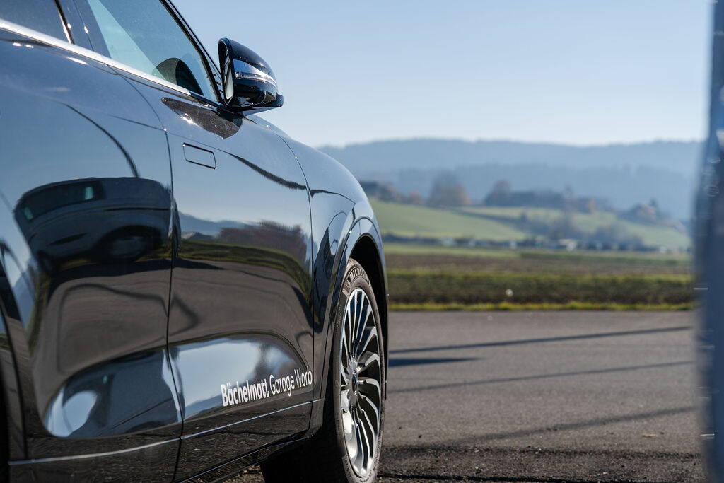 bg_detail-59.jpg bg_detail-59.jpg